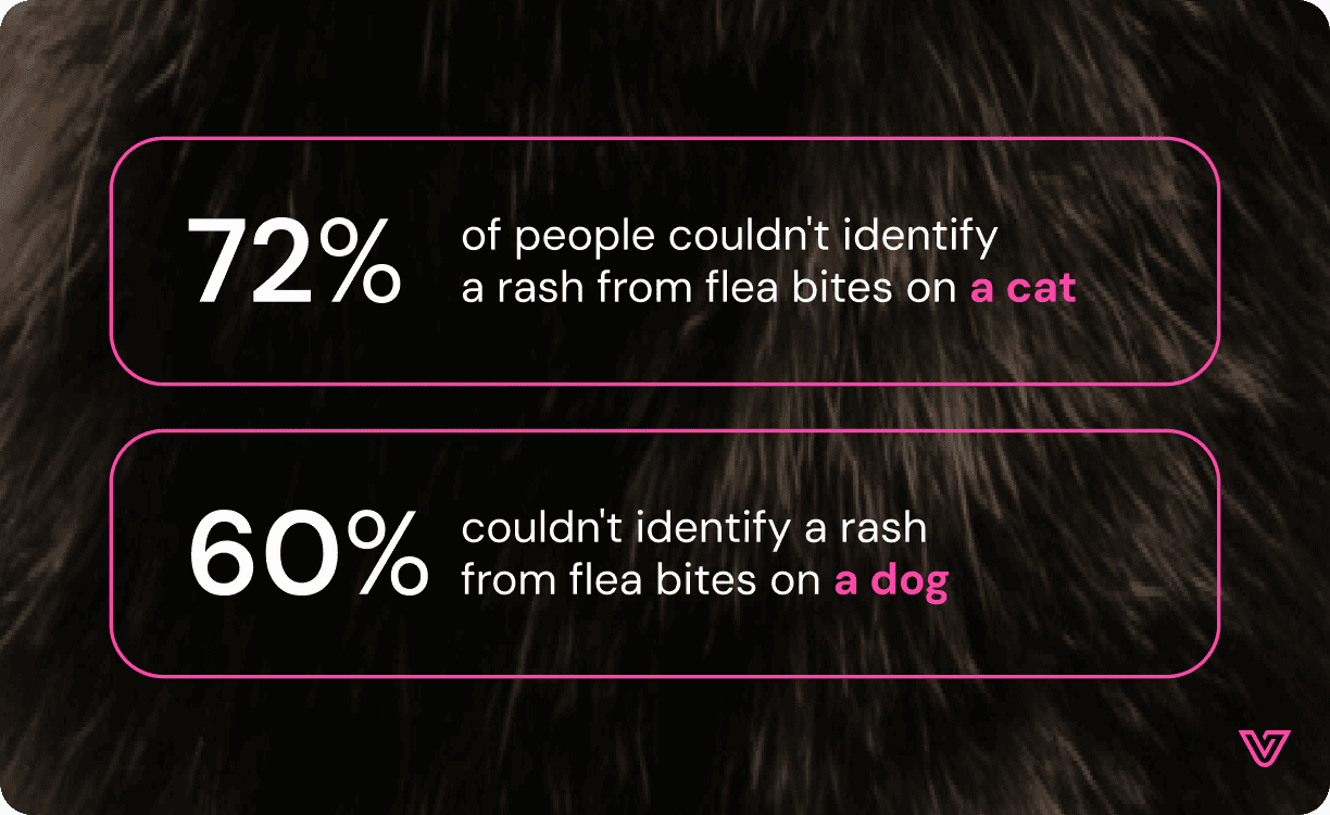 60-72% survey respondents couldn't identify rashes from flea bits