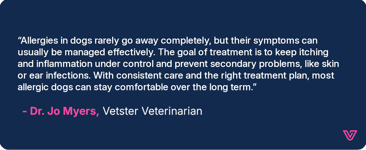 A quote from Dr. Jo discussing the goal of allergy treatments for dogs