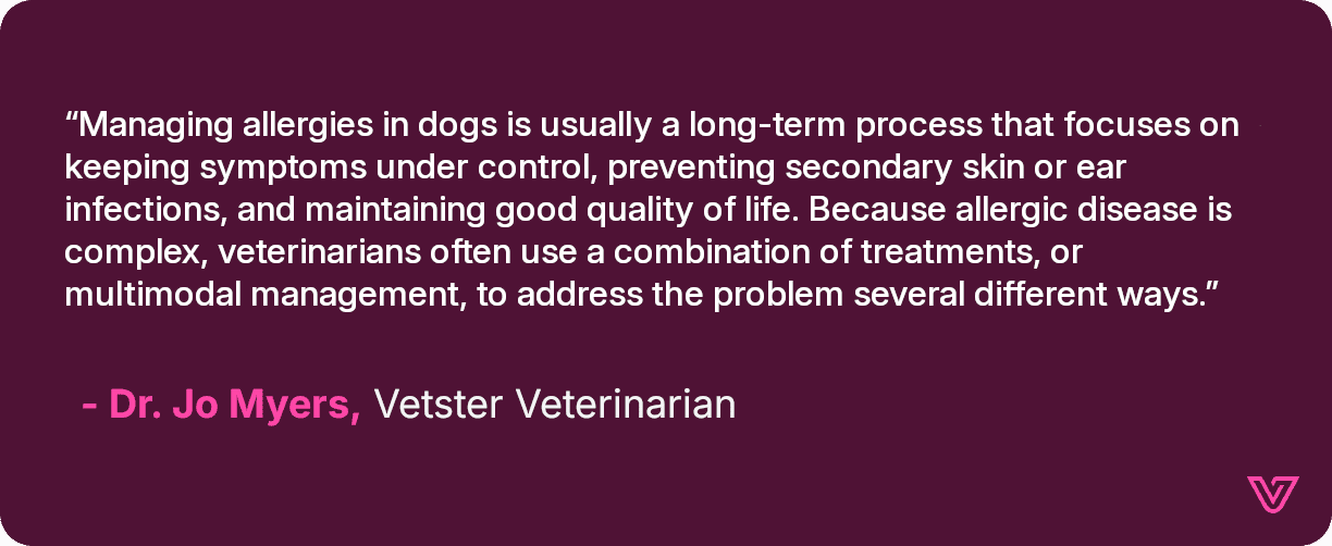 A quote from Dr. Jo Myers discussing the efficacy of allergy medication on dogs