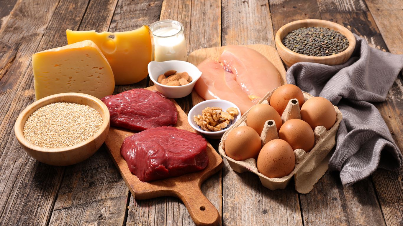 An array of pet food ingredients