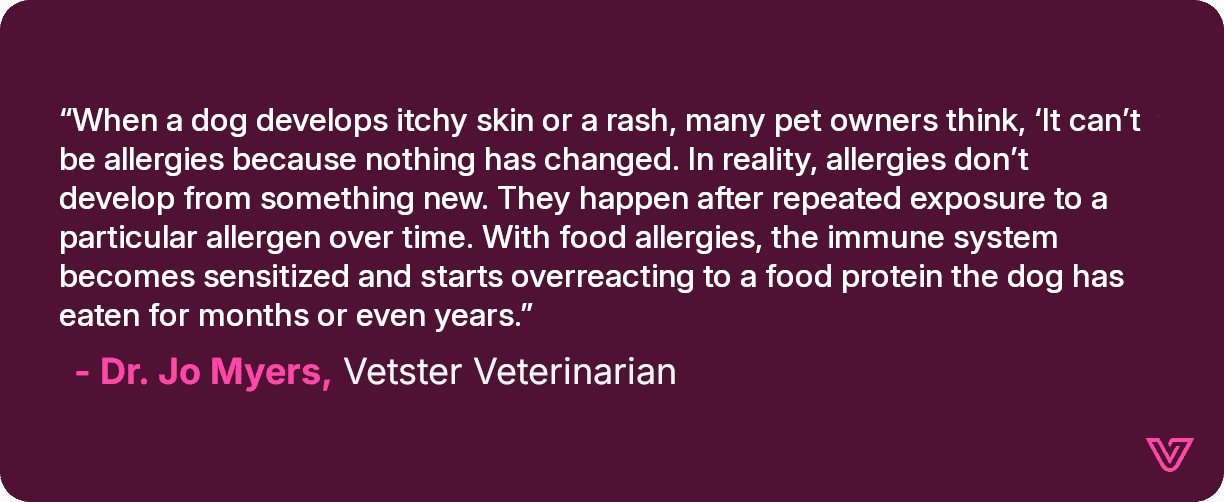 Dr. Jo talks about dogs' exposure to allergies