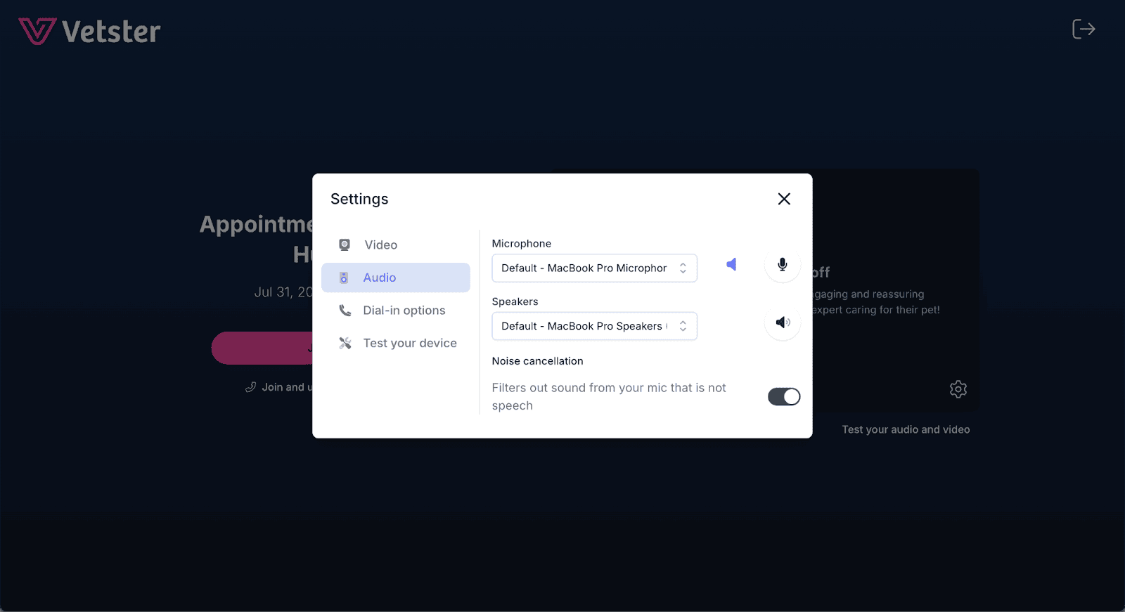 A screenshot of Vester's UI, showing the virtual call waiting room
