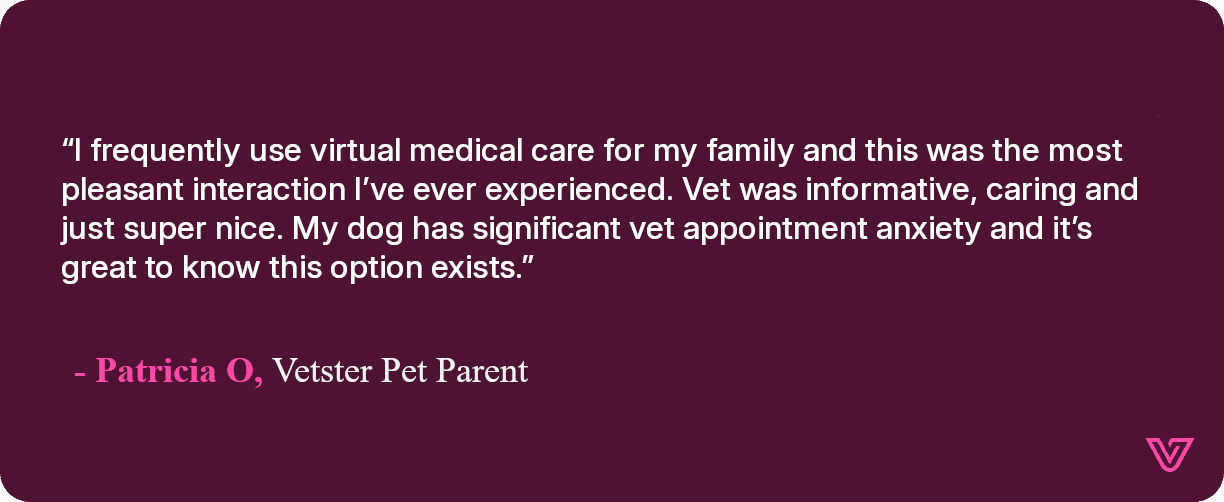 Patricia talks about her telehealth experience with Vetster