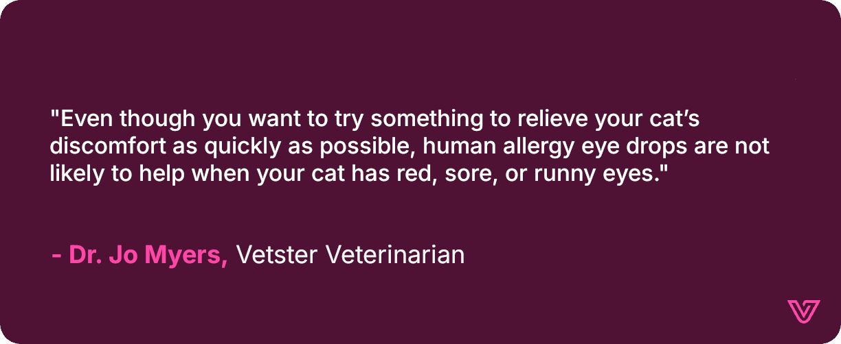 Dr. Jo describes human eye drops as ineffective for cats