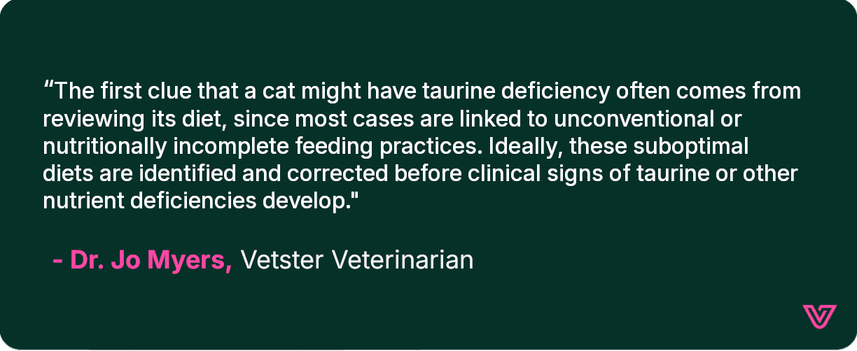 Veterinarian Jo Mysers discusses the importance of diet review for finding taurine deficiencies