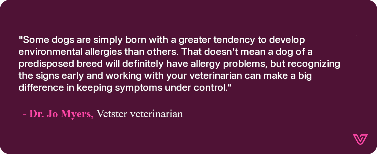 Some dogs are more predisposed to allergies than others