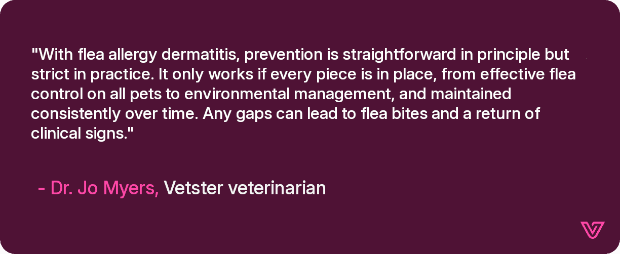 With flea allergy dermatitis, prevention is straightforward in principle but strict in practice. It only works if every piece is in place, from effective flea control on all pets to environmental management, and maintained consistently over time.