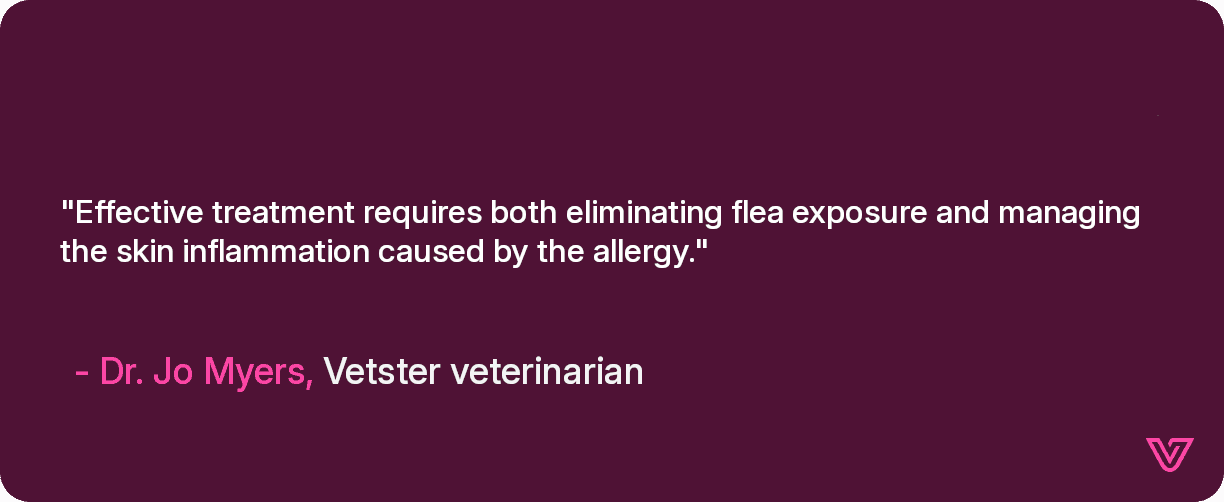 Effective treatment requires both eliminating flea exposure and managing the skin inflammation caused by the allergy.