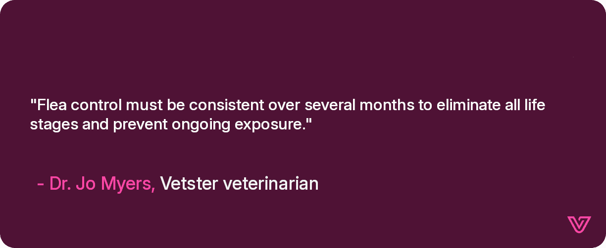 Flea control must be consistent over several months to eliminate all life stages and prevent ongoing exposure.