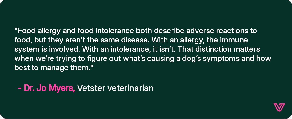 Jo discusses food allergies and intolerances