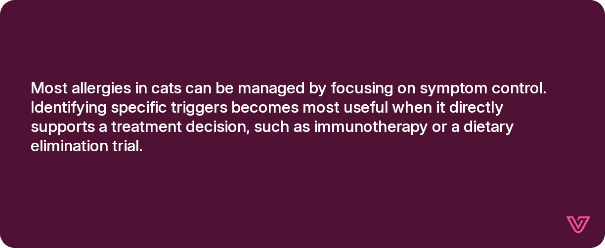 Most allergies in cats can be managed by focusing on symptom control. Identifying specific triggers becomes most useful when it directly supports a treatment decision, such as immunotherapy or a dietary elimination trial.