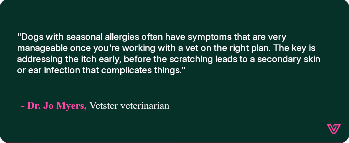 Canine seasonal allergy symptoms tend to be manageable, according to Dr. Myers