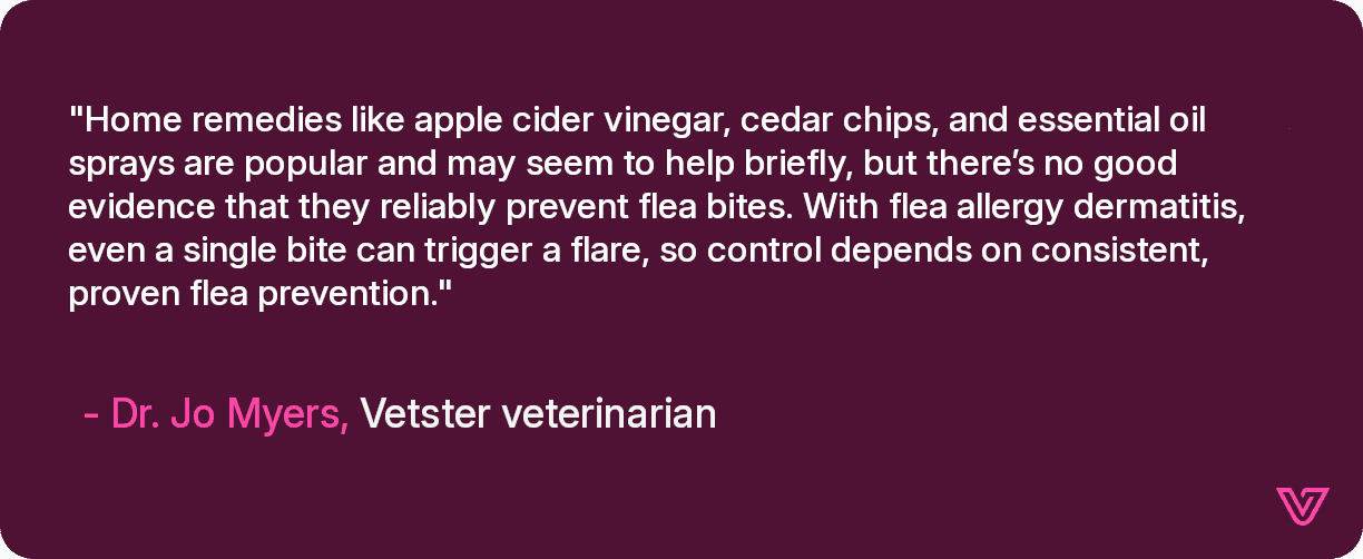 Home remedies like apple cider vinegar, cedar chips, and essential oil sprays are popular and may seem to help briefly, but there’s no good evidence that they reliably prevent flea bites.