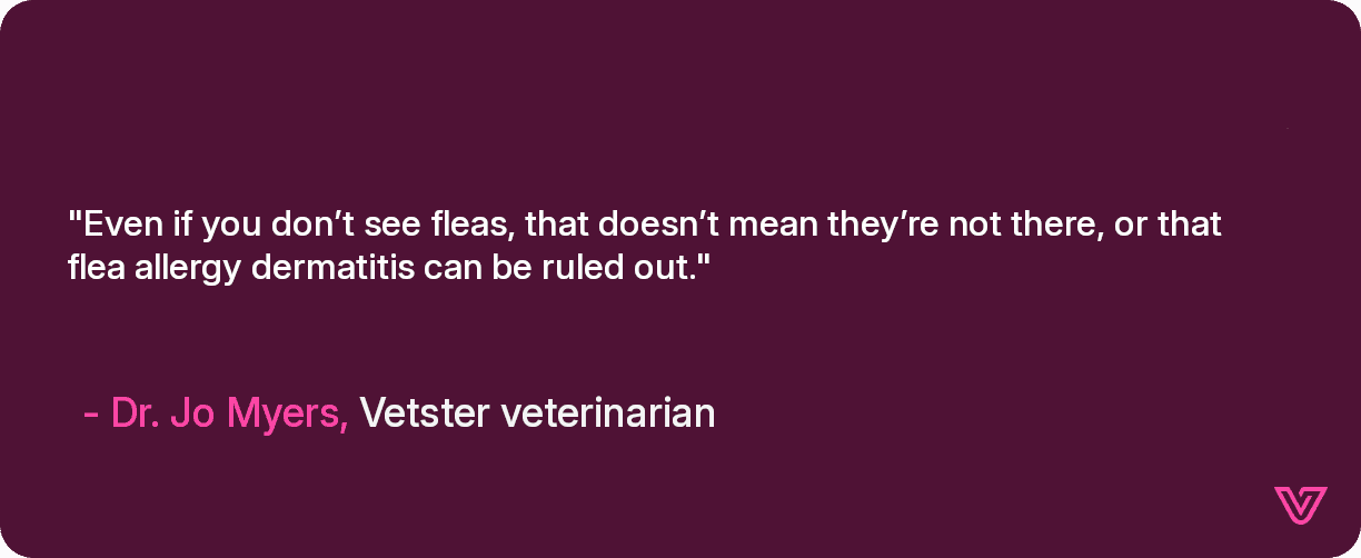 Even if you don’t see fleas, that doesn’t mean they’re not there, or that flea allergy dermatitis can be ruled out.