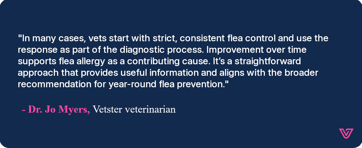 In many cases, vets start with strict, consistent flea control and use the response as part of the diagnostic process. Improvement over time supports flea allergy as a contributing cause.