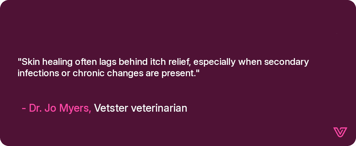 Skin healing often lags behind itch relief, especially when secondary infections or chronic changes are present.