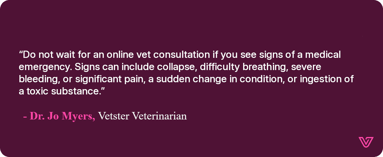A quote from Jo Myers discussing when to go straight to a vet (instead of using telehealth)