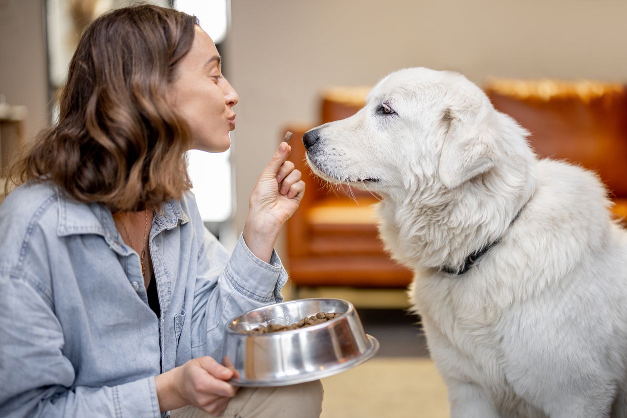 A woman feeds her dog