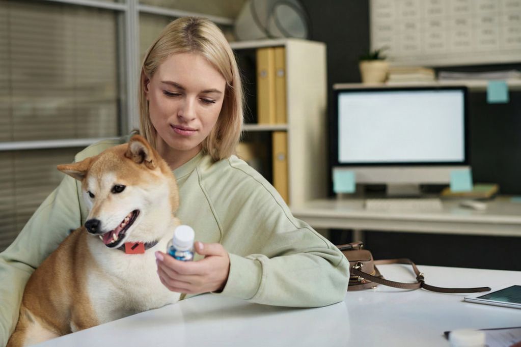 A woman sitting at a desk with her dog, examining a medication bottle in her hand.